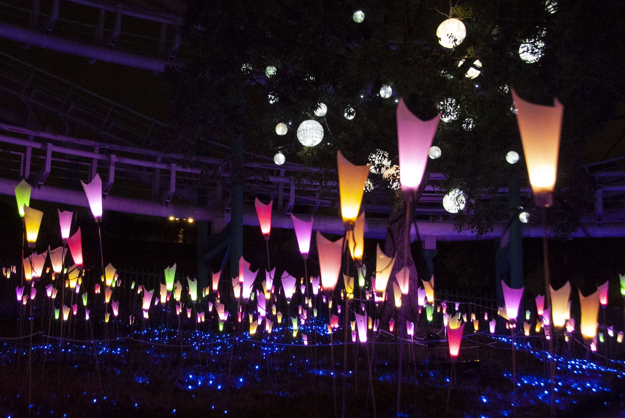 🎡 히라카타 파크 이미지 8